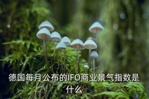 德國(guó)每月公布的IFO商業(yè)景氣指數(shù)是什么
