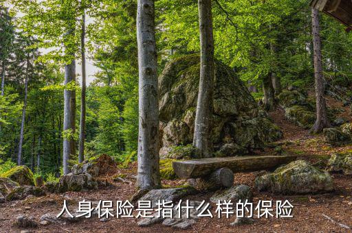 人身險是什么，人身保險是指什么樣的保險