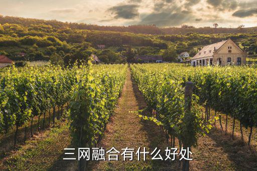 南寧廣電三網(wǎng)融合有什么用，三網(wǎng)融合有什么好處