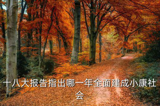 到2020年全面小康什么時(shí)候提出的，我國(guó)基本小康實(shí)現(xiàn)的時(shí)間