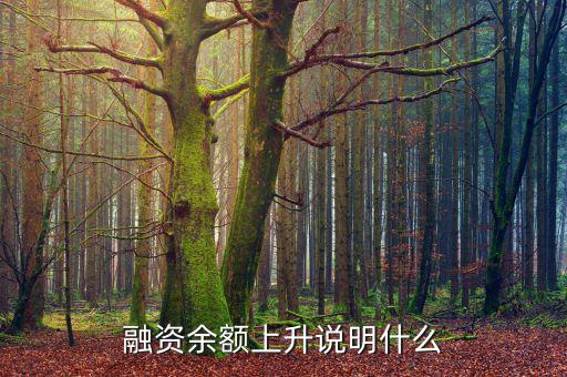 濰柴融資額度很高說明什么，融資余額上升說明什么