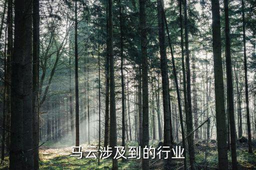 馬云投入醫(yī)藥行業(yè)什么意思，藥店買藥馬云買單什么意思