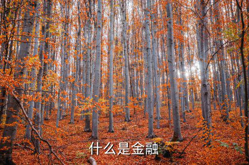 金融是什么，什么是金融
