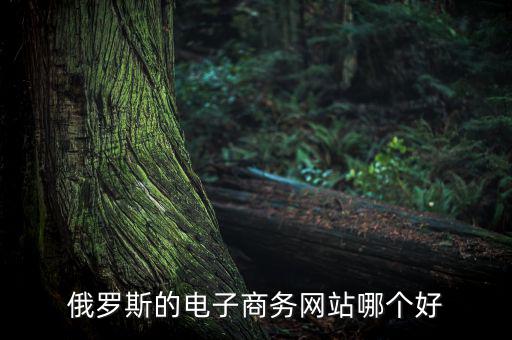 俄羅斯的電子商務網(wǎng)站哪個好