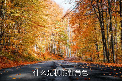 什么是名義剛性，什么是機(jī)能性角色