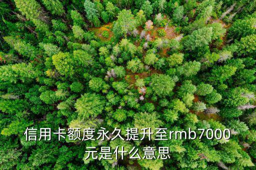 信用卡永久額度是什么意思，信用卡額度永久提升至rmb7000元是什么意思
