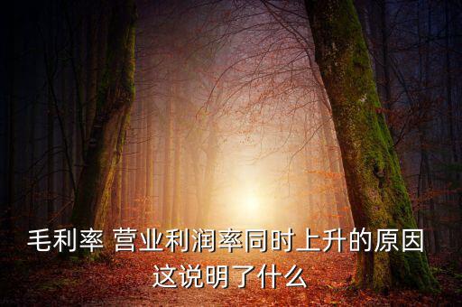 毛利率增長說明什么，增值稅毛利率的高低說明什么