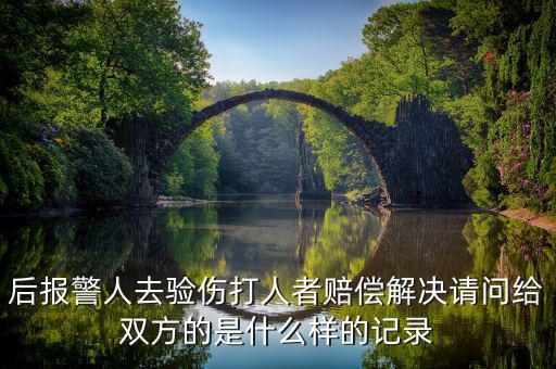 什么是賠償記錄，什么是無(wú)賠款優(yōu)待及上年賠款記錄系數(shù)