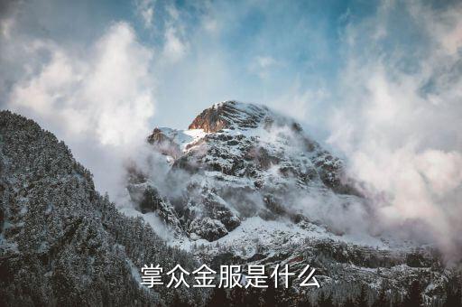 掌金互聯(lián)是干什么的，掌眾金服是什么