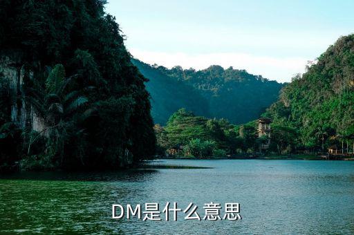 什么是dm理財(cái)，DM在國(guó)際金融里面是什么意思