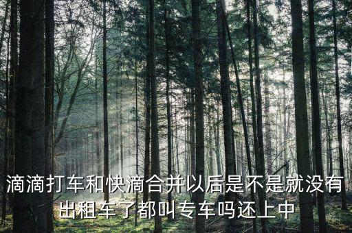 滴滴快滴合并叫什么，滴滴快的合并后叫什么