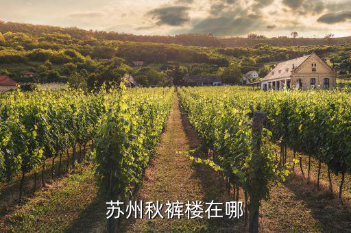 蘇州的秋褲大樓叫什么，蘇州的標志性建筑秋褲在蘇州市區(qū)嗎