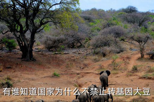 為什么不禁止轉(zhuǎn)基因食品，我國(guó)為什么不制止轉(zhuǎn)基因食品進(jìn)口