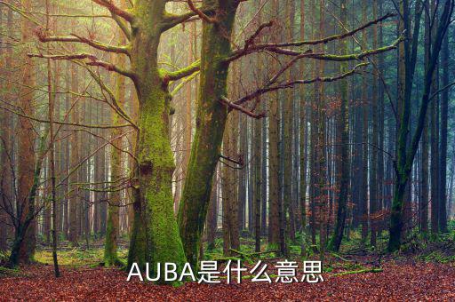 華夏現(xiàn)金增利貨幣a是什么，AUBA是什么意思