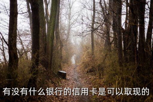 有沒有什么銀行的信用卡是可以取現的