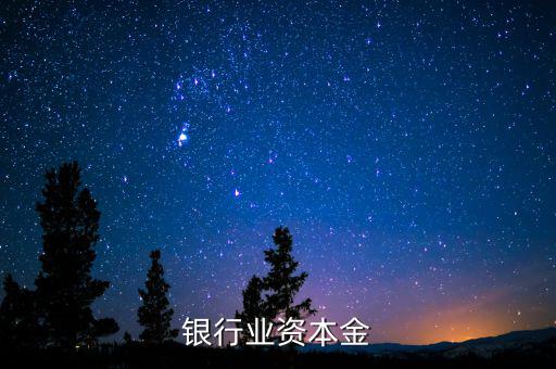 銀行資本金是什么，銀行業(yè)資本金