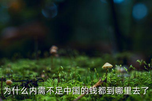 為什么內需不足中國的錢都到哪里去了
