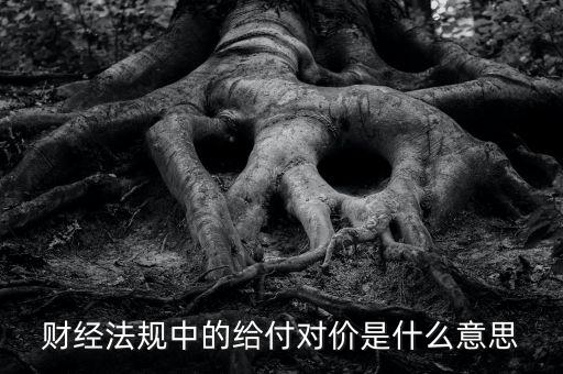 支付對(duì)價(jià)是什么意思，財(cái)經(jīng)法規(guī)中的給付對(duì)價(jià)是什么意思