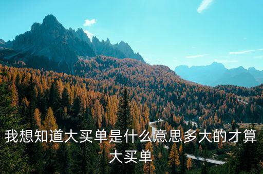 什么是超大買單，下跌過程中出現(xiàn)超大買單什么意思