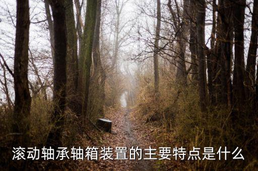 什么是軸箱軸承，什么是軸承