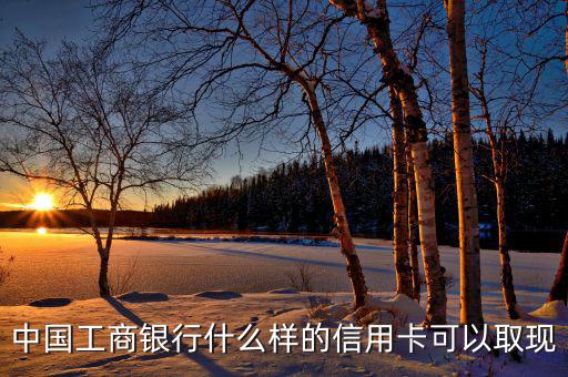 中國工商銀行什么樣的信用卡可以取現