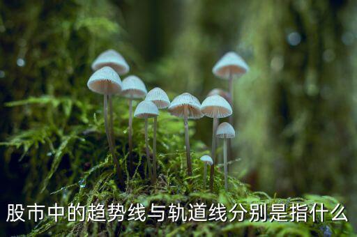 什么是股票軌道線，股票 軌道是什么