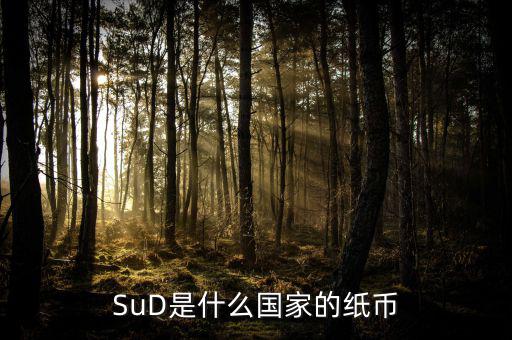 sud是什么貨幣，SUD是什么貨幣單位