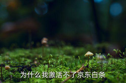為什么京東的白條激活不了，京東商城的白條為什么激活不了