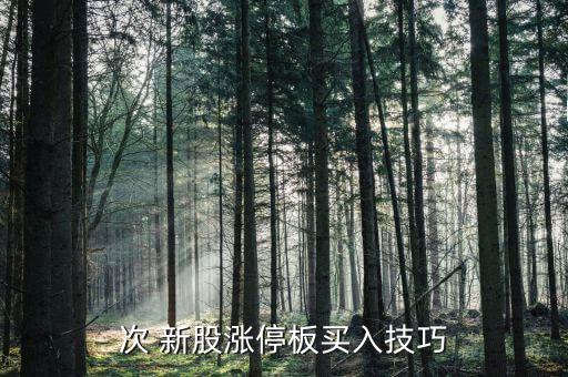 次 新股漲停板買(mǎi)入技巧