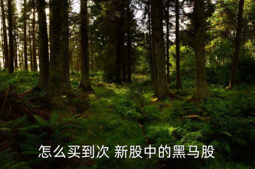 怎么買(mǎi)到次 新股中的黑馬股