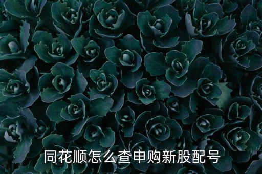 同花順怎么看新上市的股票,首頁(yè)-新股ipo功能介紹一下!
