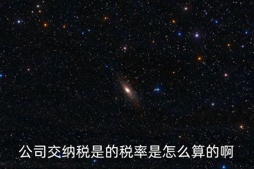 小規(guī)模納稅人的價調(diào)基金怎么計(jì)算,下個月稅收收入增長什么?