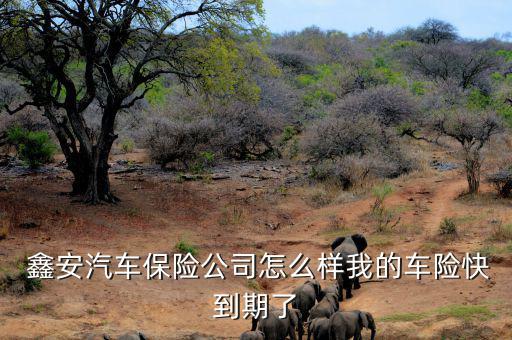 鑫安理賠怎么樣,鑫安保險(xiǎn)審查嫌疑人最晚時間為30天