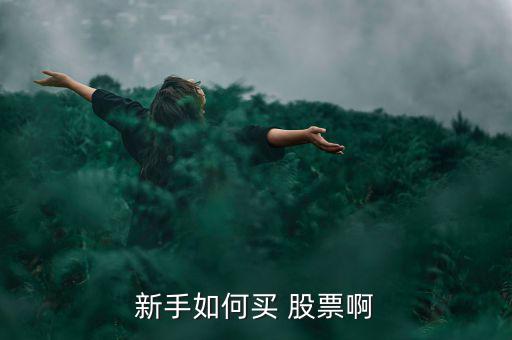 新手如何買(mǎi) 股票啊