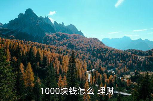 1000怎么投資理財,財富管理計劃從何而來?