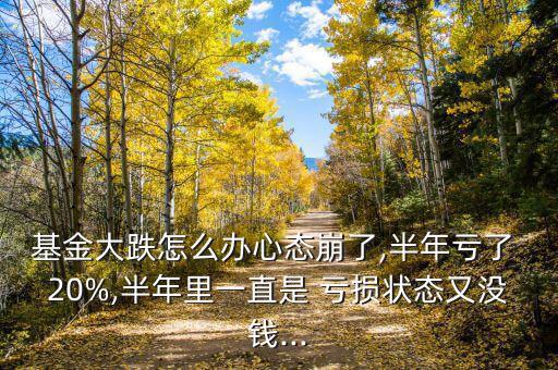 基金大跌怎么辦心態(tài)崩了,半年虧了 20%,半年里一直是 虧損狀態(tài)又沒(méi)錢(qián)...