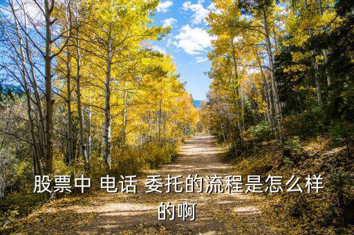  股票中 電話(huà) 委托的流程是怎么樣的啊