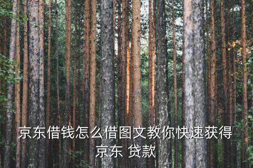  京東借錢(qián)怎么借圖文教你快速獲得 京東 貸款