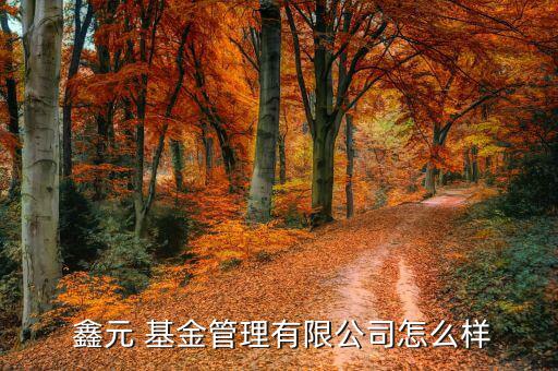鑫元基金怎么樣,鑫元基金經(jīng)營范圍包括基金發(fā)行、基金賣出等