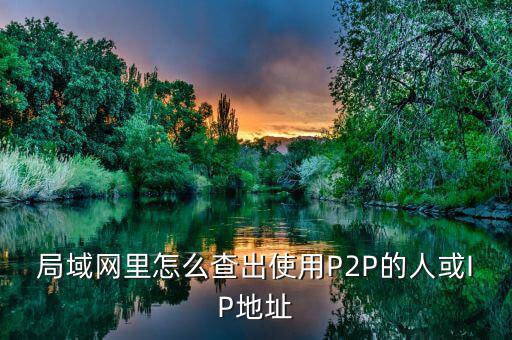 局域網里怎么查出使用P2P的人或IP地址