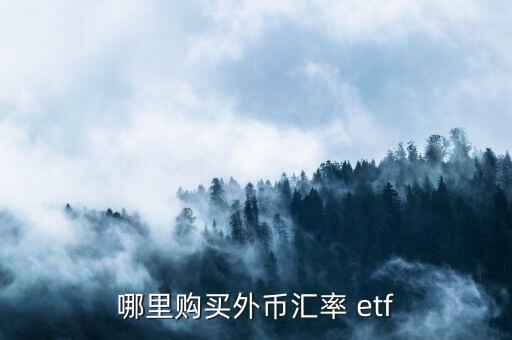 哪里購(gòu)買(mǎi)外幣匯率 etf