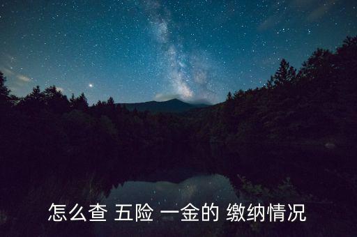 怎么查詢五險(xiǎn)一金是否繳納,如何查五險(xiǎn)-1繳納情況?