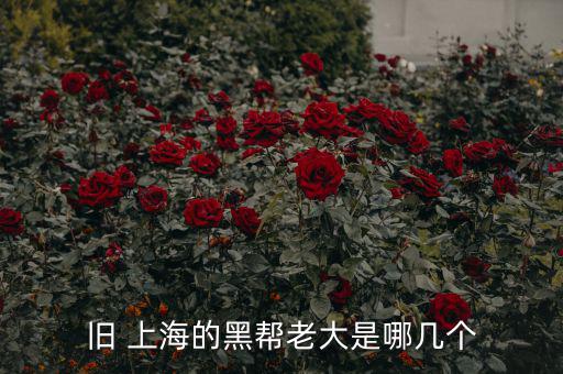 上海互信金融怎么樣,上海五國會議機(jī)制前身是五國集團(tuán)主席