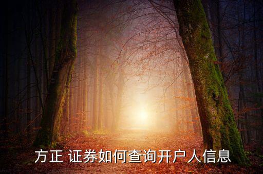 怎么查方正證券的余額,方正證券股份有限公司提供查詢服務(wù)