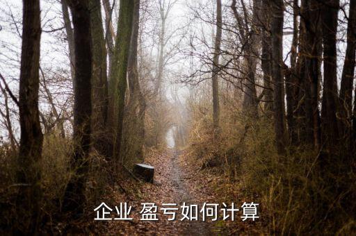 企業(yè) 盈虧如何計算