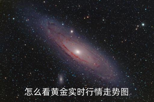 怎么看黃金實(shí)時行情走勢圖