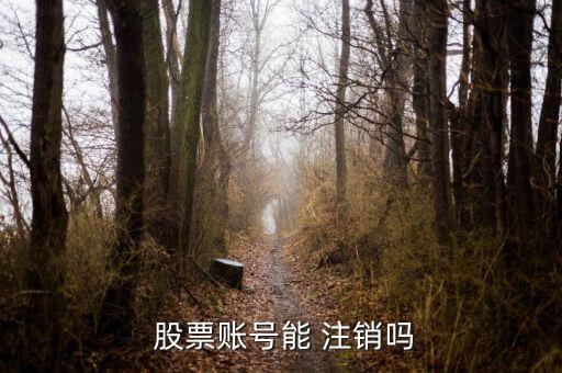  股票賬號(hào)能 注銷(xiāo)嗎