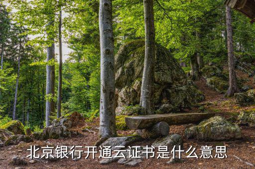 北京銀行開(kāi)通云證書是什么意思