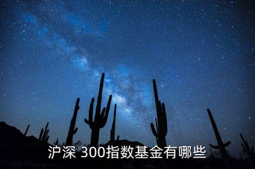 工銀滬深300怎么樣,周一開盤必買的股票