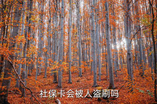 社?？ū槐I刷怎么辦,社保補(bǔ)卡服務(wù)丟了怎么辦